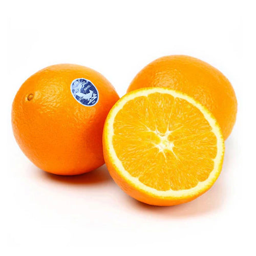Blue Jay Oranges
