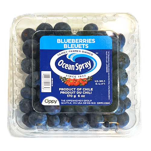 Ocean Spray Blueberries 170g