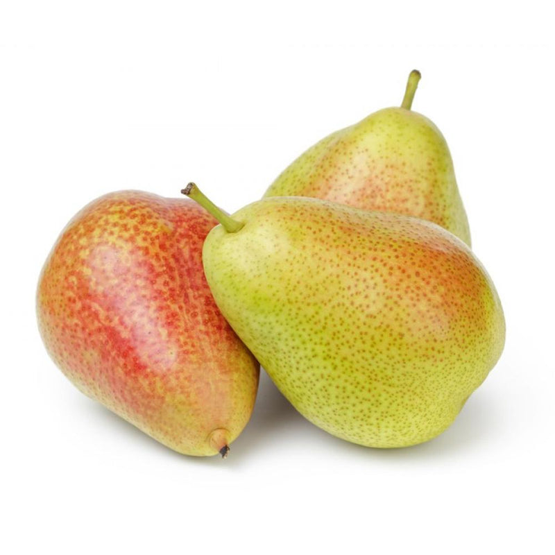 Sugar Pear