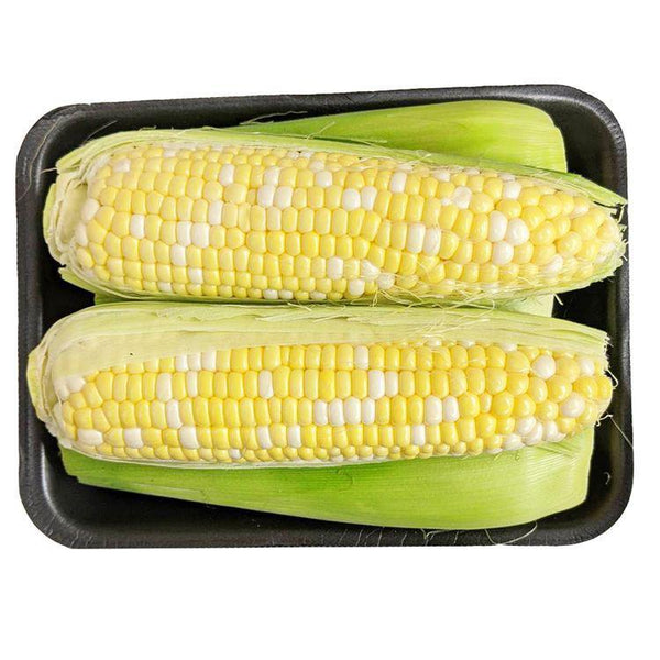 Fresh Corn - Pack (5Pcs)