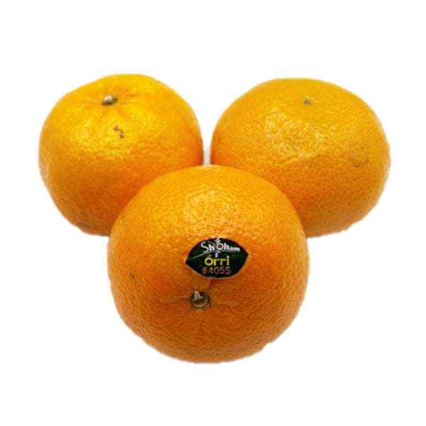 Shoham Orri Tangerines